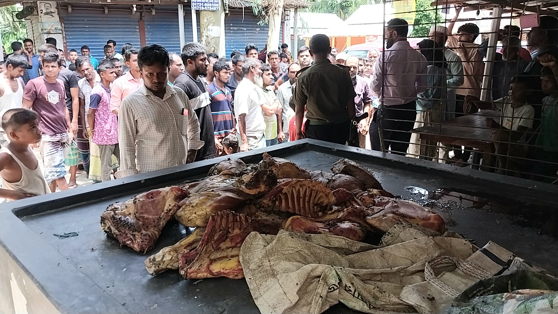 ফুলবাড়ীতে মরা গরু জবাই, কসাইকে পুলিশে দিল স্থানীয়রা