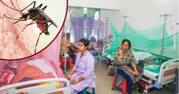 ডেঙ্গু আক্রান্তের হার কমছে না, আরও একজনের মৃত্যু