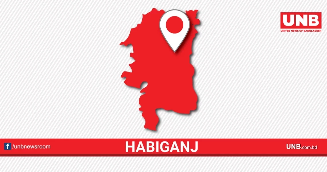 BGB seizes over Tk 1 crore worth of Indian goods in Habiganj
