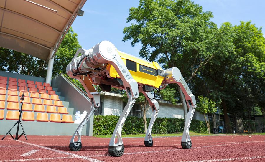 Chinese quadruped robot sets 100m sprint Guinness World Record